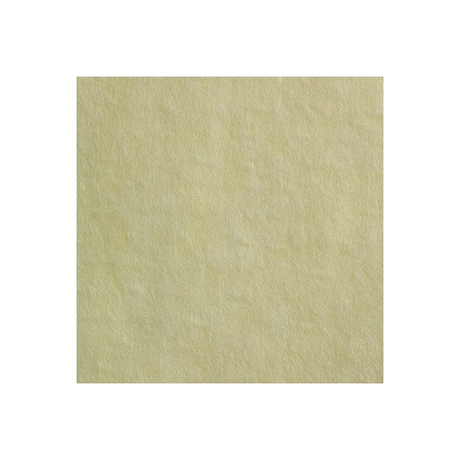 image:imageGeorgiaPacific Brawny Yellow 18 Fold Disposable Dusting Cloth by GP PRO 24 Length x 17 Width 29616 Case of 4 Packs 50 Cloths per Pack24 x 24